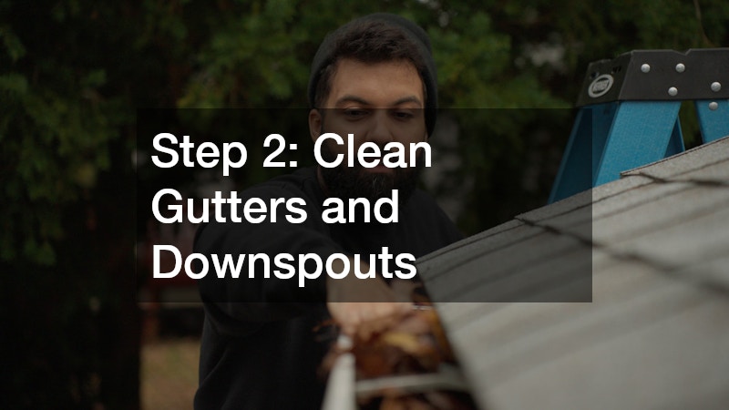 gutter cleaning