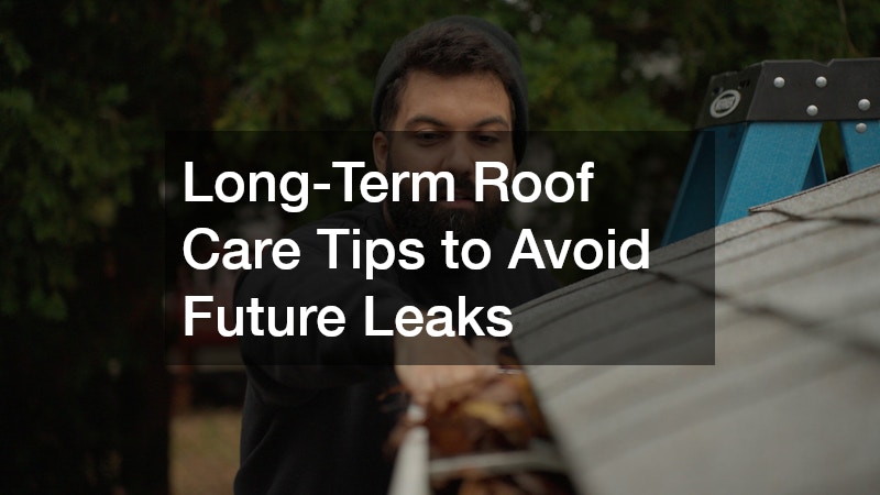 roof gutter cleaning