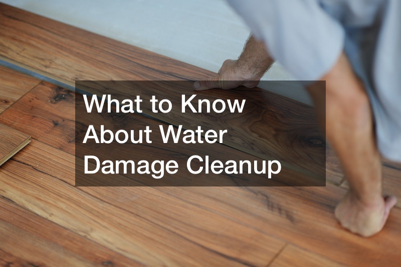 What to Know About Water Damage Cleanup