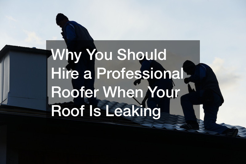 Why You Should Hire a Professional Roofer When Your Roof Is Leaking