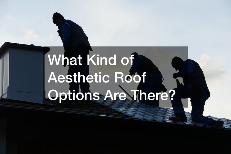 What Kind of Aesthetic Roof Options Are There?