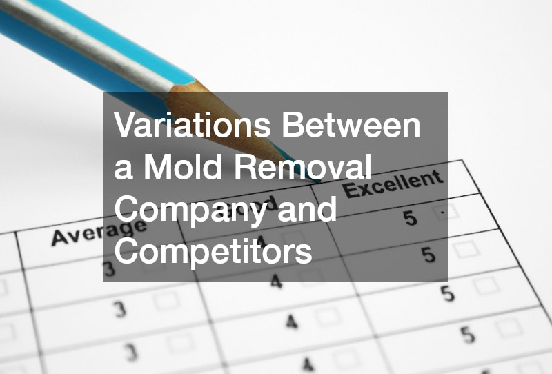 Variations Between a Mold Removal Company and Competitors