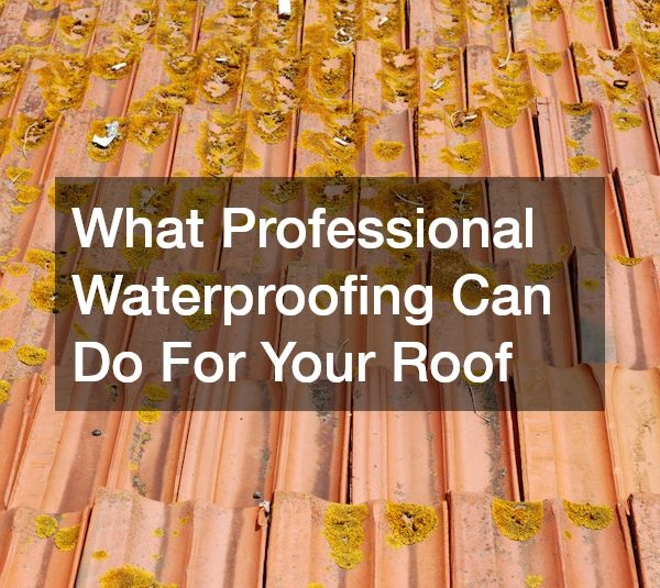 What Professional Waterproofing Can Do For Your Roof