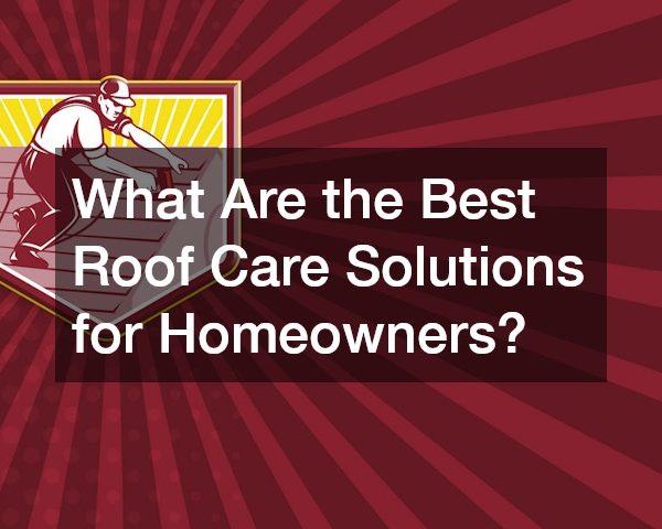 What Are the Best Roof Care Solutions for Homeowners?