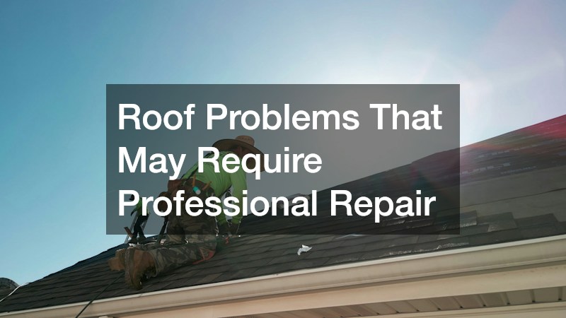 Roof Problems That May Require Professional Repair